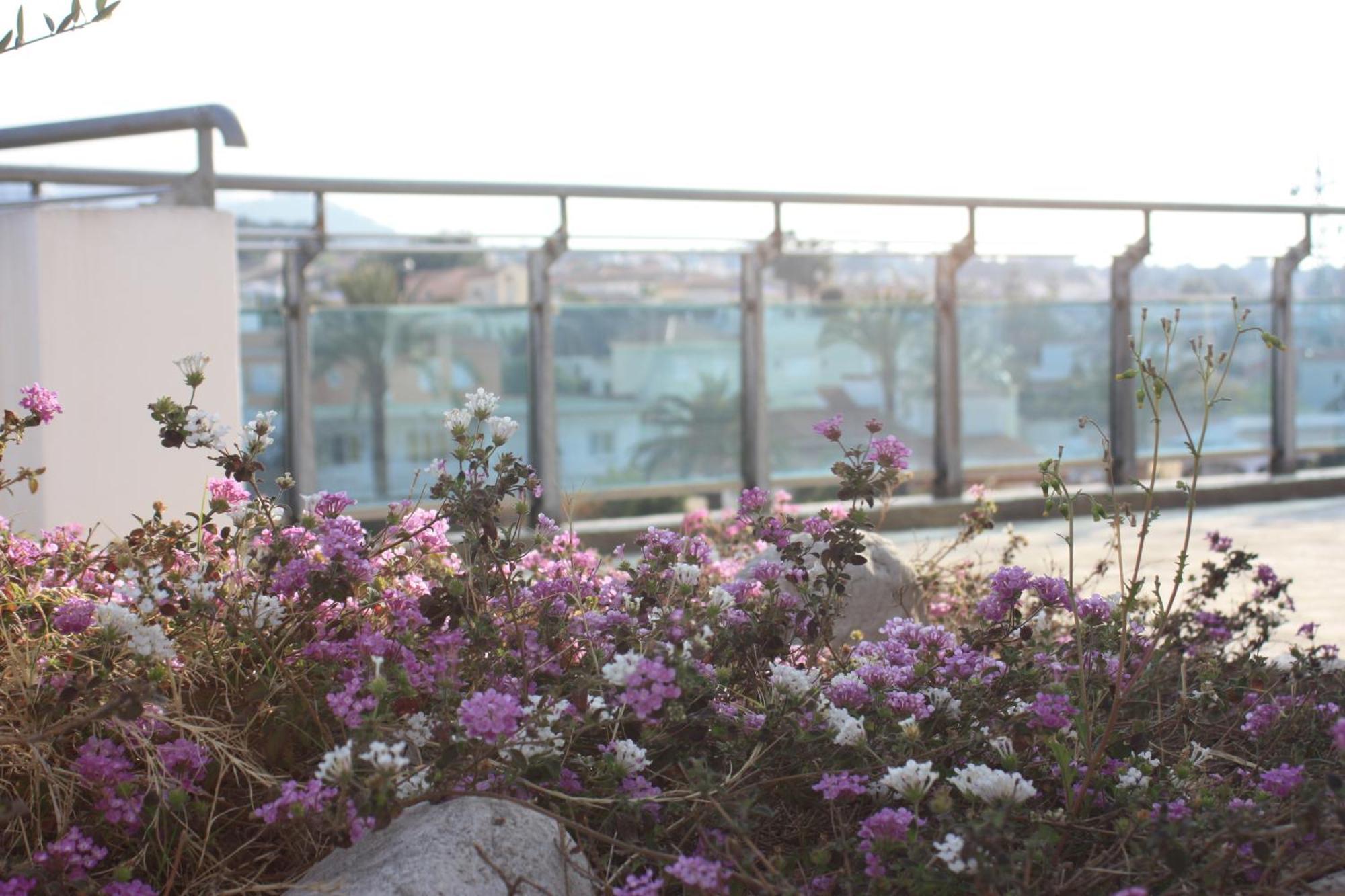 Hotel Rober Palas El Albir Zewnętrze zdjęcie